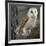 Barn Owl-Linda Wright-Framed Photographic Print