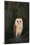 Barn Owl-DLILLC-Mounted Photographic Print