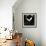 Barn Owl-null-Framed Photographic Print displayed on a wall