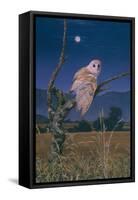 Barn Owl-Simon Cook-Framed Stretched Canvas