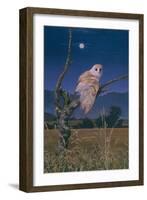 Barn Owl-Simon Cook-Framed Giclee Print