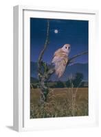 Barn Owl-Simon Cook-Framed Giclee Print