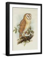 Barn Owl-Henry Constantine Richter-Framed Giclee Print