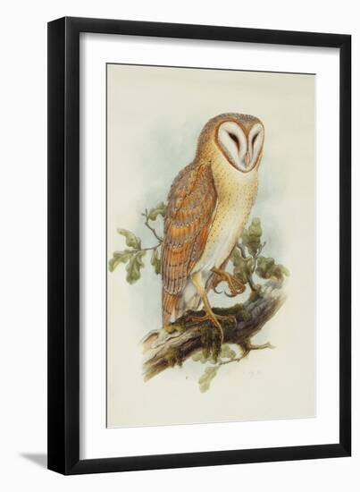 Barn Owl-Henry Constantine Richter-Framed Giclee Print