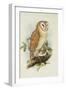 Barn Owl-Henry Constantine Richter-Framed Giclee Print