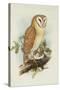 Barn Owl-Henry Constantine Richter-Stretched Canvas