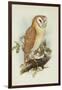 Barn Owl-Henry Constantine Richter-Framed Giclee Print