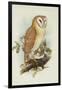 Barn Owl-Henry Constantine Richter-Framed Giclee Print