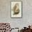 Barn Owl-Henry Constantine Richter-Framed Stretched Canvas displayed on a wall