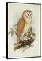 Barn Owl-Henry Constantine Richter-Framed Stretched Canvas