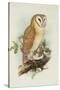 Barn Owl-Henry Constantine Richter-Stretched Canvas