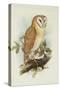 Barn Owl-Henry Constantine Richter-Stretched Canvas