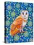 Barn Owl-Jane Tattersfield-Stretched Canvas