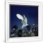 Gramercy White