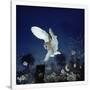 Gramercy White