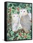 Barn Owls-Suzanne Bailey-Framed Stretched Canvas