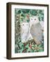 Barn Owls-Suzanne Bailey-Framed Giclee Print