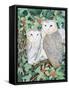 Barn Owls-Suzanne Bailey-Framed Stretched Canvas