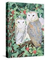 Barn Owls-Suzanne Bailey-Stretched Canvas