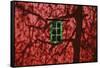 Barn, Red, Green Window, Shadow of a Tree-Uwe Steffens-Framed Stretched Canvas