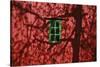 Barn, Red, Green Window, Shadow of a Tree-Uwe Steffens-Stretched Canvas