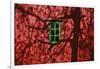 Barn, Red, Green Window, Shadow of a Tree-Uwe Steffens-Framed Photographic Print