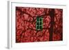 Barn, Red, Green Window, Shadow of a Tree-Uwe Steffens-Framed Photographic Print