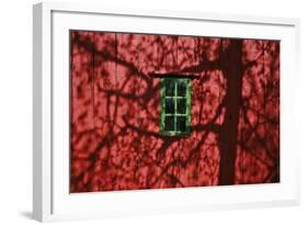 Barn, Red, Green Window, Shadow of a Tree-Uwe Steffens-Framed Photographic Print