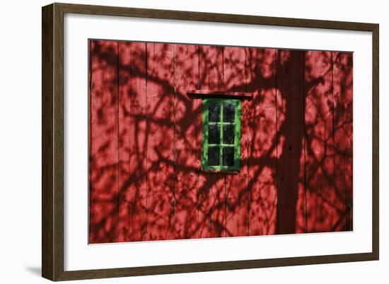 Barn, Red, Green Window, Shadow of a Tree-Uwe Steffens-Framed Photographic Print