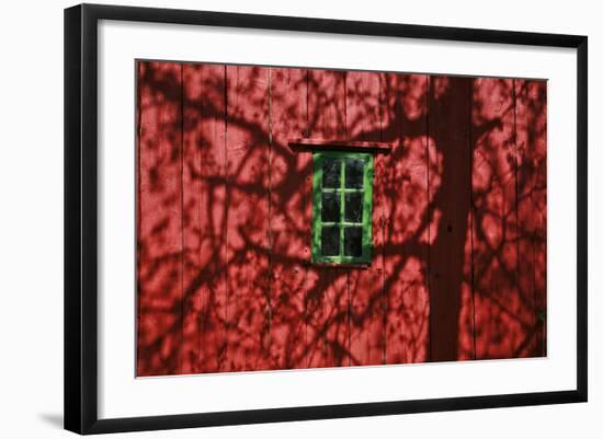 Barn, Red, Green Window, Shadow of a Tree-Uwe Steffens-Framed Photographic Print