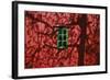 Barn, Red, Green Window, Shadow of a Tree-Uwe Steffens-Framed Photographic Print