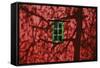 Barn, Red, Green Window, Shadow of a Tree-Uwe Steffens-Framed Stretched Canvas