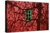 Barn, Red, Green Window, Shadow of a Tree-Uwe Steffens-Stretched Canvas