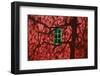 Barn, Red, Green Window, Shadow of a Tree-Uwe Steffens-Framed Photographic Print