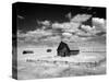 Barn, Rural Montana-Carol Highsmith-Stretched Canvas