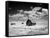 Barn, Rural Montana-Carol Highsmith-Framed Stretched Canvas