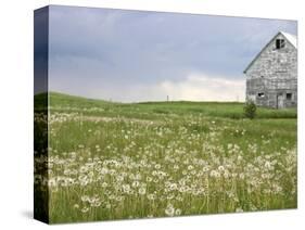 Barn Scape II-Ingrid Blixt-Stretched Canvas