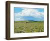 Barn Scene I-James McLoughlin-Framed Photographic Print