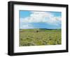 Barn Scene I-James McLoughlin-Framed Photographic Print