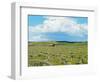 Barn Scene I-James McLoughlin-Framed Photographic Print