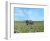 Barn Scene III-James McLoughlin-Framed Photographic Print