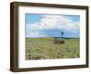 Barn Scene IV-James McLoughlin-Framed Photographic Print