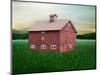 Barn Scene XII-James McLoughlin-Mounted Photographic Print