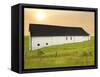 Barn Scene XIV-James McLoughlin-Framed Stretched Canvas