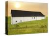 Barn Scene XIV-James McLoughlin-Stretched Canvas