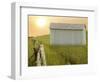 Barn Scene XVII-James McLoughlin-Framed Photographic Print