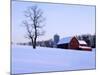 Barn, Shenandoah Valley, Virginia, USA-Charles Gurche-Mounted Photographic Print