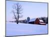 Barn, Shenandoah Valley, Virginia, USA-Charles Gurche-Mounted Photographic Print