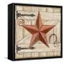 Barn Star I-Paul Brent-Framed Stretched Canvas