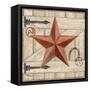 Barn Star I-Paul Brent-Framed Stretched Canvas